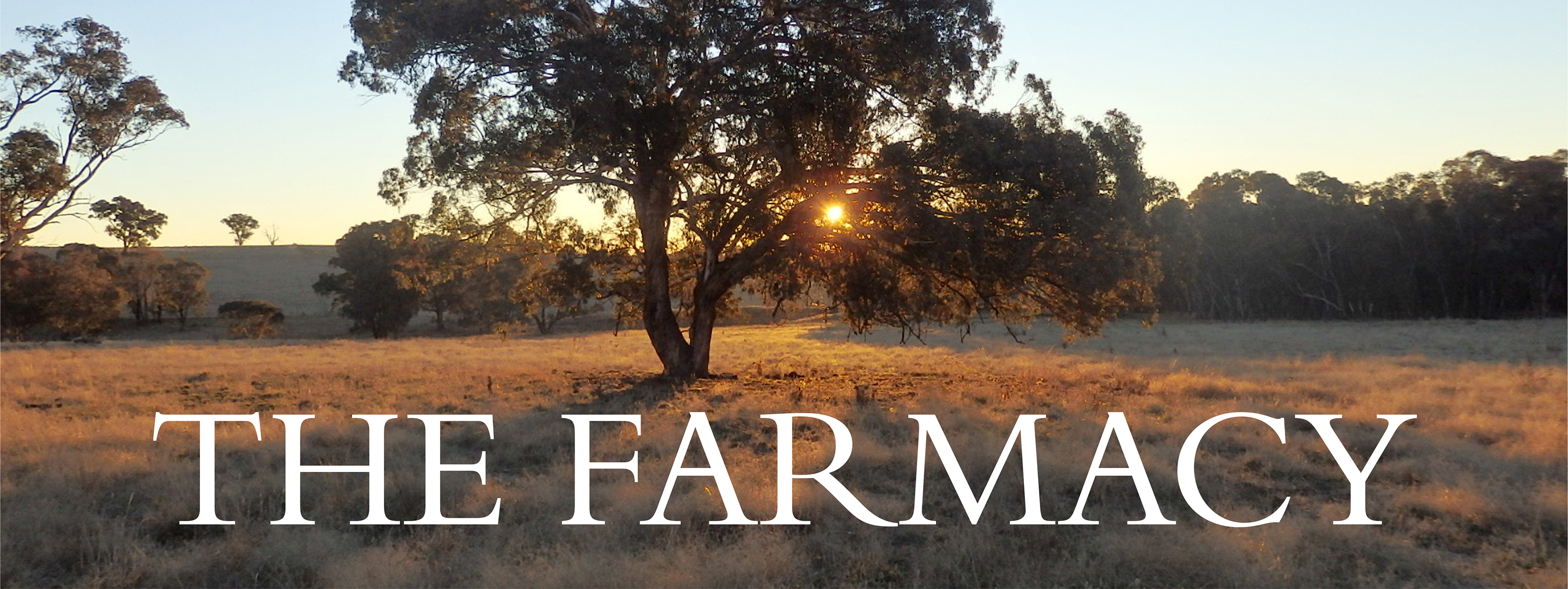 The Farmacy
