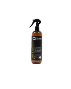 SHINE & FOCUSSED 3in1 Detangler 