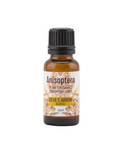 Anisoptera- Devil's Arrow