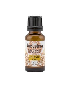 Anisoptera- Silver Wisp