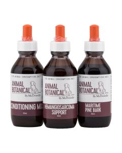 Hemangiosarcoma Support Program