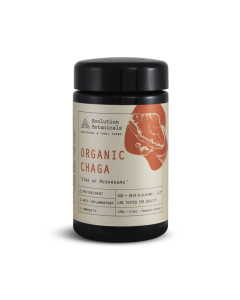 Medicinal Mushroom Chaga