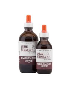 Hemangiosarcoma Support