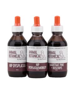 Hip Dysplasia Program