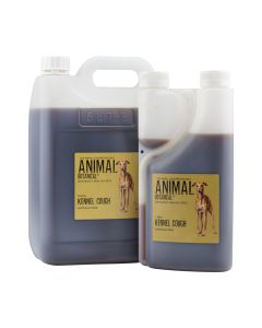 Kennel Cough