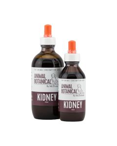 Kidney
