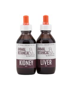 Kidney Program