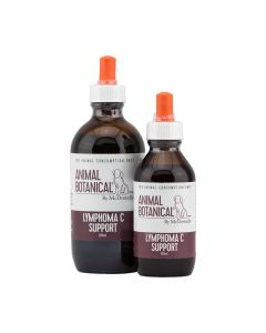 Lymphoma C Support 