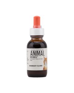 Mammary-Gland Support