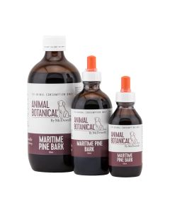 Maritime Pine Bark Extract