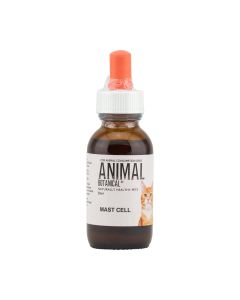 Mast Cell Feline