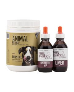 Pancreatitis Program
