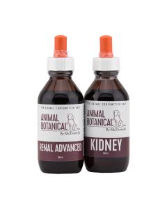 Renal Disease Program