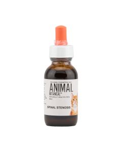 Spinal Stenosis Feline