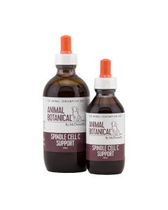 Spindle Cell C Support 