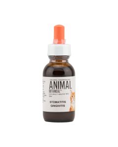 Stomatitis Gingivitis