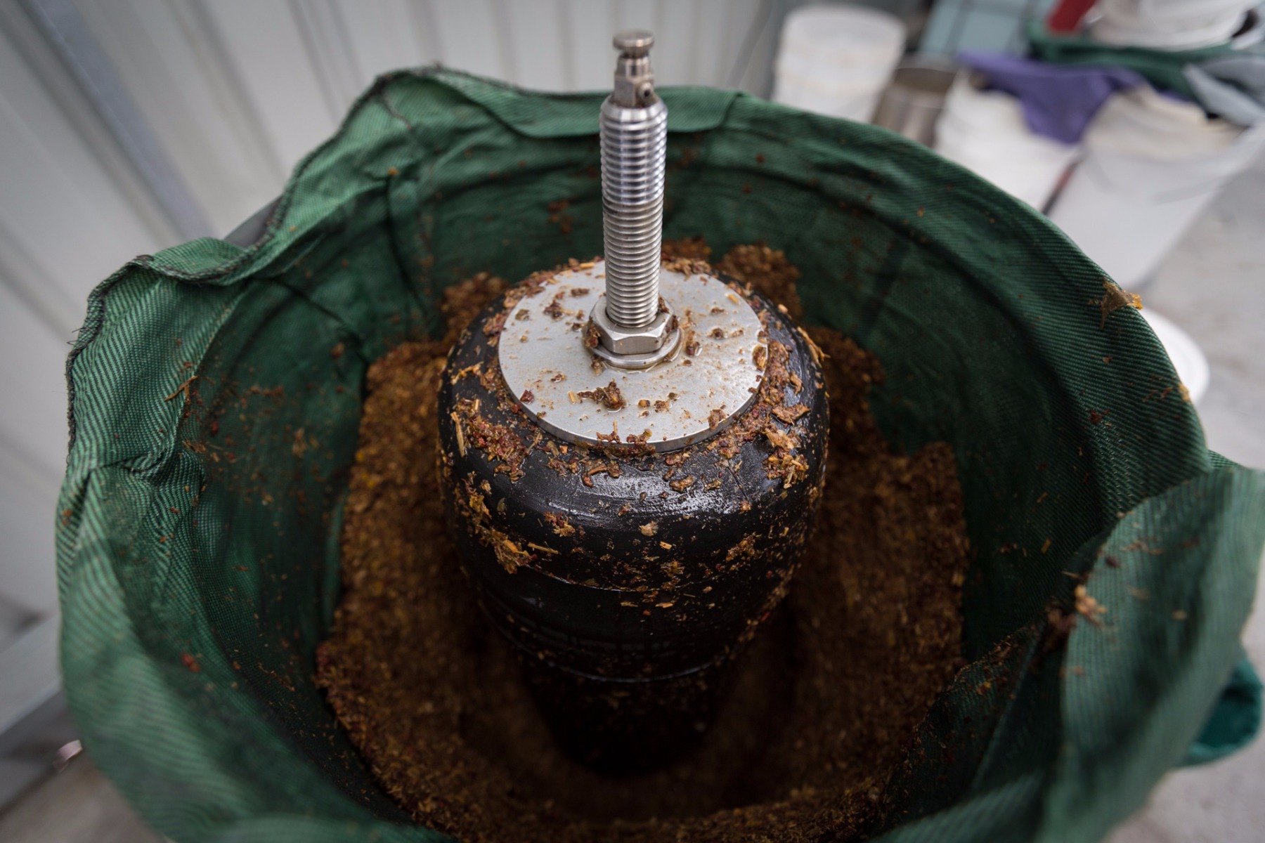 Pressing out a vinegar tonic in our bladder press.