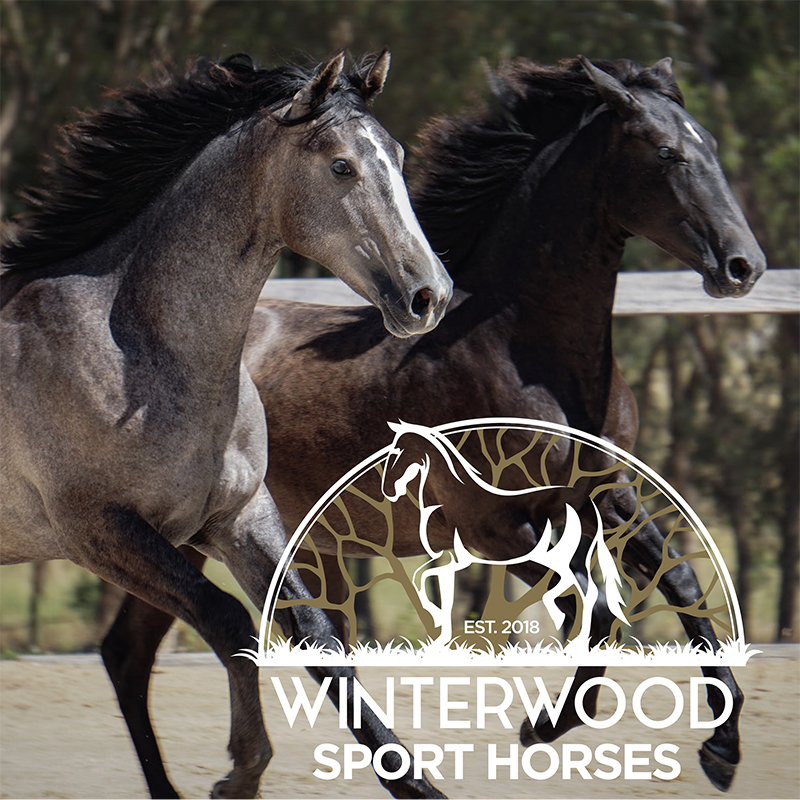 Winterwood Tile
