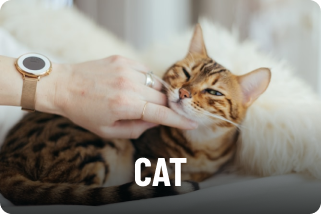 Cat Category
